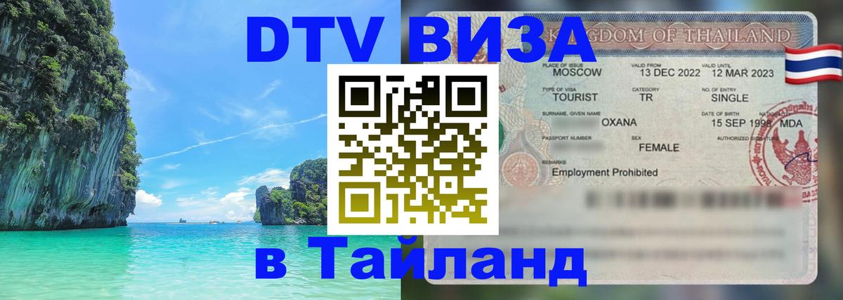 Сколько стоит DTV виза — актуальные цены, оформление даже без документов - Иерусалим 